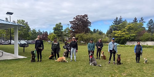 June Urban Pack Walk \ud83d\udc3e