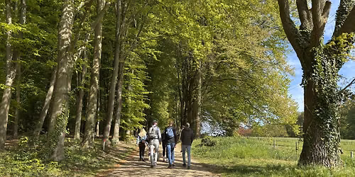 Step & Sweat Arnhem met de Walk Club