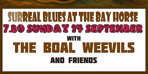 Blues at the Bay Horse Inn, Totnes with the Boal Weevils