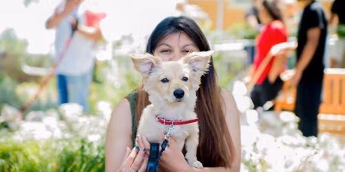 Pet Care Assistance Day 
