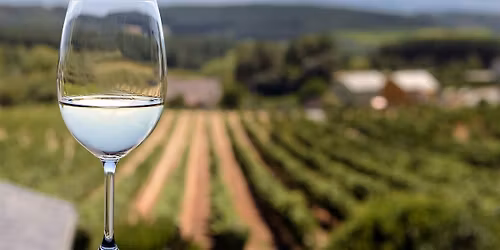 Wines From Across The French Landscape