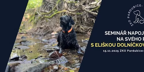 Semin\u00e1\u0159 NAPOJEN\u00cd NA SV\u00c9HO PSA s Eli\u0161kou Doln\u00ed\u010dkovou