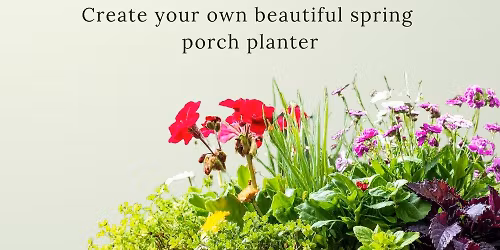 Spring Porch Planters Floral Design Class - Grand Rapids Location