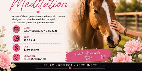 ENCORE Zen Horse Meditation 
