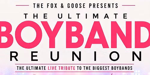 The Ultimate Boyband Reunion - Live