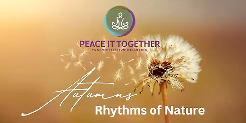 Sunday Autumns Rhythms of Nature