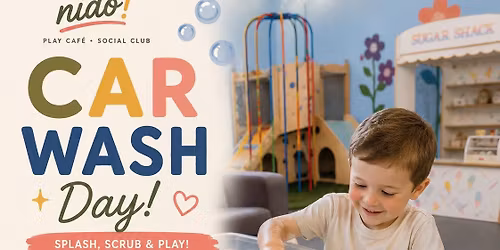 Car Wash Play Day