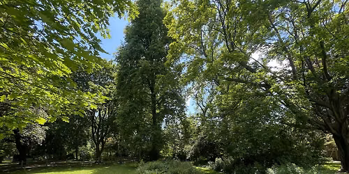 Yoga & Tea: Summer Solstice Gathering