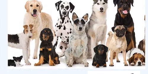 F\u00eate du chien 2026