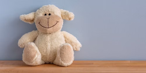 Stuffed Toy Sleepover
