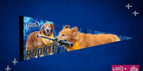 Batdog Rookie Pennant + $1 Hot Dogs