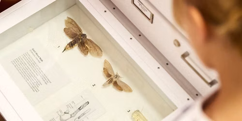 ID It! Citizen Science Workshops