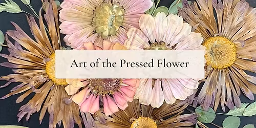 Art of the Pressed Flower with Amanda Francis