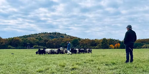 Klinika - Eamonn Connell \u2618\ufe0f \ud83c\uddee\ud83c\uddea