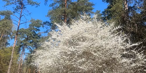 \ud83c\udf3f MOTER\u0172 VAKARAS: \u201eSUSTOTI IR ATSIKV\u0116PTI\u201c