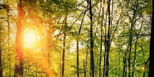 Walk In Your Newness