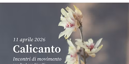 Calicanto - Incontri di movimento