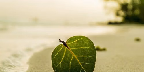 Intensive Intro to Raja Yoga Meditation - in English