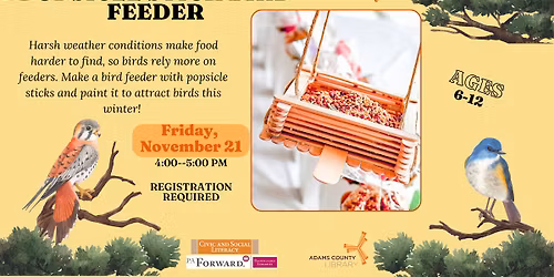 Popsicle Stick Bird Feeder 