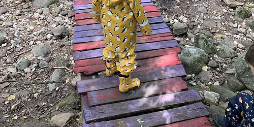 Vir\u00e1g\u00e9breszt\u0151 \u00c9leterd\u0151 \u2013 Mes\u00e9s tavaszk\u00f6sz\u00f6nt\u0151 az erd\u0151ben \ud83c\udf38\ud83c\udf31