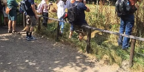 Photographic Tour \ud83d\udcf7\ud83c\udf32