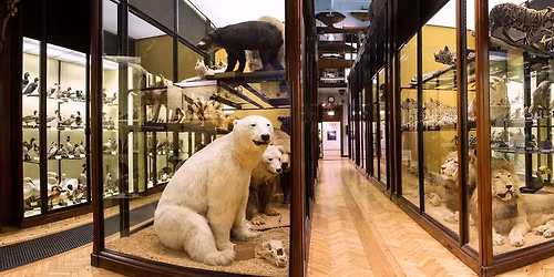 Tactile Tour for Adults