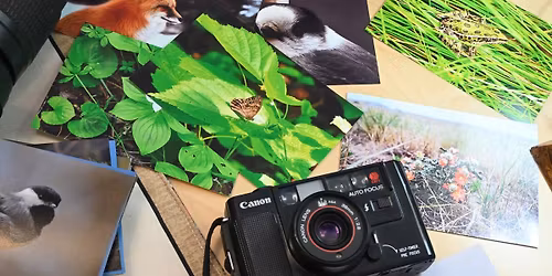 Sharing Stories and Photos