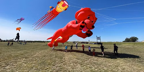 \u201cLet Inclusion Fly\u201d Albert Lea Minnesota Community Kite Festival 