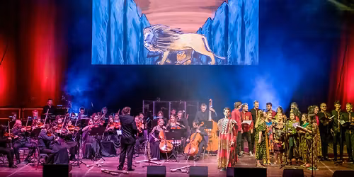 Der K\u00f6nig der L\u00f6wen - THE MUSIC LIVE IN CONCERT! | Konzerthalle Bamberg