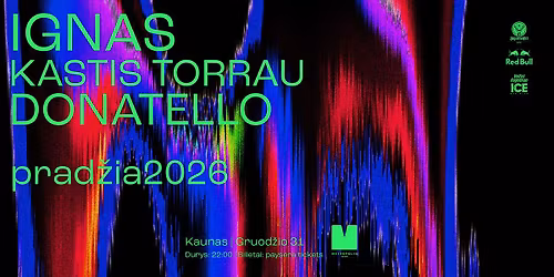 IGNAS \u2605 KASTIS TORRAU \u2605 DONATELLO. prad\u017eia2026.