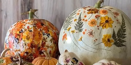 The Crafting Coven