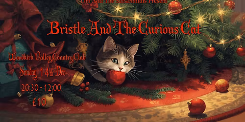 It's Christmas...Soooooooo 'Bristle And The Curious Cat' is this years Woodkirk Sunday Salsa Doooo.