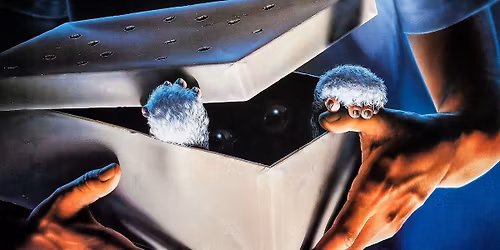 Thursday Night Terrors: Gremlins 1984