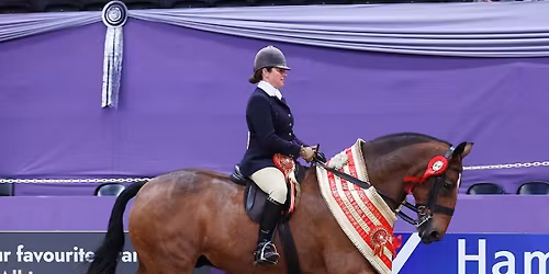 Pre LIHS\/STARS Showing Clinic with Vicky Smith