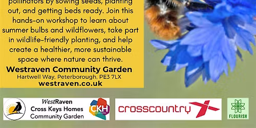 Pollinator Preparation - wildlife workshop