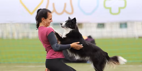 Intenzivn\u00ed tr\u00e9nink agility s Terezou Kaniovou