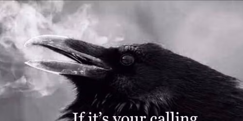 Inaugural Corvid Party