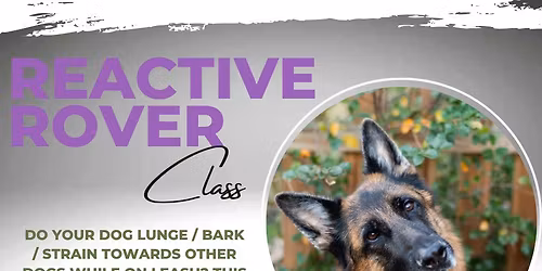 Reactive Rover 