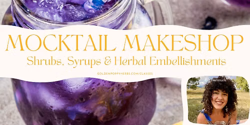 Mocktail Makeshop: Shrubs, Syrups & Herbal Embellishments with Liz Faermark of @TalkWildHerbs