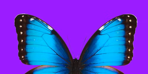 Unity in the community