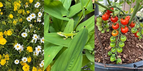 FAST Class: This Month in the Garden