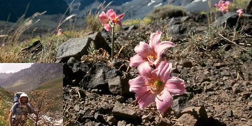 Cyklus p\u0159edn\u00e1\u0161ek V\u00fdpravy za kv\u011btinami \u2013 RNDr. PhDr. Ivo M\u00fcller, Ph.D.