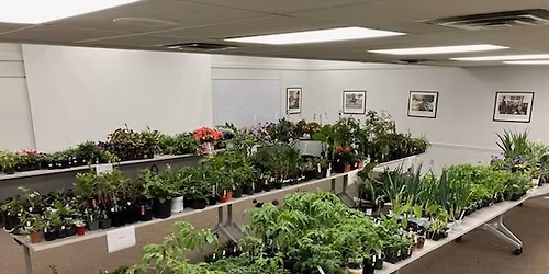 Annual Master Gardener Plant Sale
