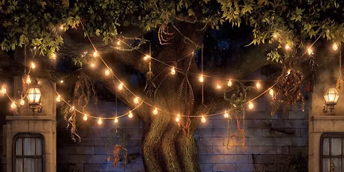 Halloween Trunk or Treat\/ party