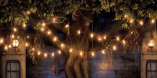 Halloween Trunk or Treat\/ party