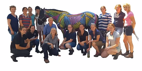Equine CranioSacral Techniques Level I