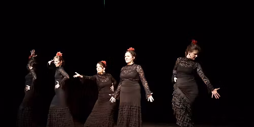 Schoolfeest FlamencoFlamenco 2026
