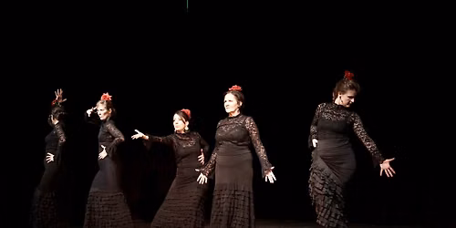 Schoolfeest FlamencoFlamenco 2026