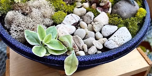 Fairy Garden Workshop $40 +tax