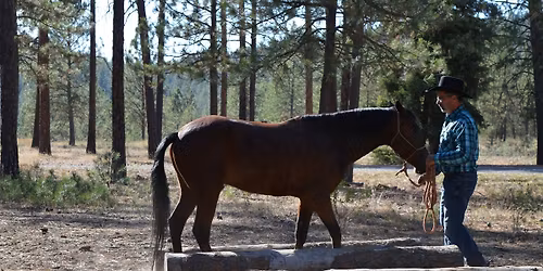Equine Trail Sports Northwest Regionals